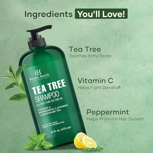 Botanic Hearth Tea Tree Shampoo For Men And Women 16 Fl Oz