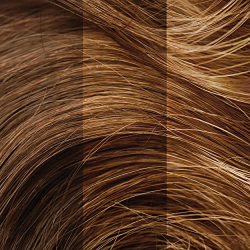 Gray Away Pro Root Concealer Medium Brown By Everpro For Women 2 Oz Concealer