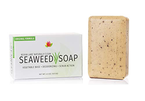 Reviva Seaweed Soap 6 Pack Organic Seaweed Face Scrub And Exfoliating Body Scrub Soap Bar 4.5 Oz.
