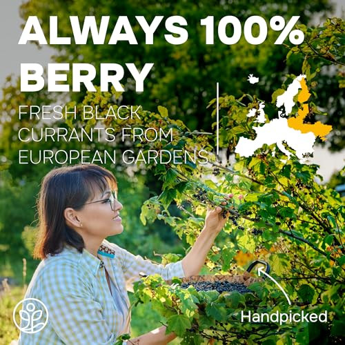 Jungle Powders Black Currant Powder 5 Ounce Bag Natural Freeze Dried Black Currants For Recovery Dehydrated Fruit Rich In Anthocyanins And