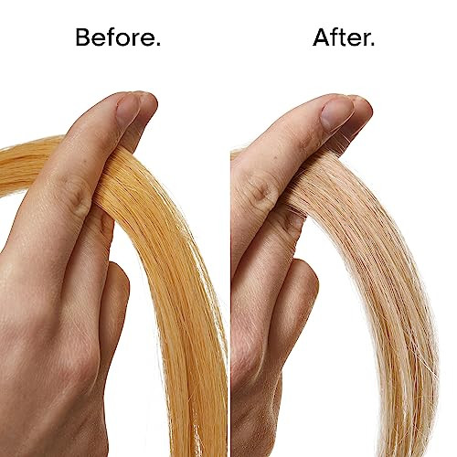 L Oréal Professionnel Paris Purple Conditioner For Blonde Hair