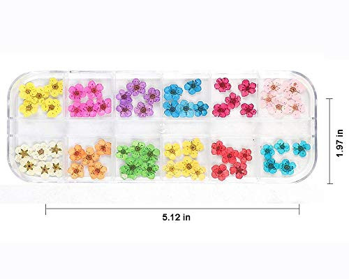 Lpone 60 Pcs 3D Nails Dried Flowers Resin Accessories Mini Natural For Nail Art Supplies Decal Mixed Accessory Starry Flower Stickers