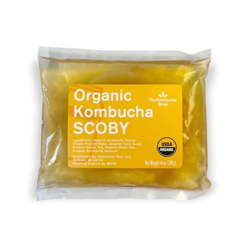100 Percent Organic Scoby Kombucha Starter Kit 100 Percent Guaranteed To Brew Fresh Live Culture With Starter Liquid The Kombucha Shop