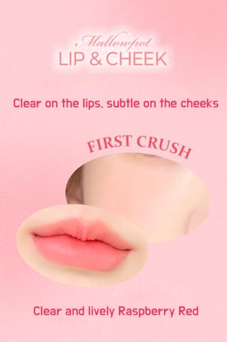 N2U Mallow Pot Lip And Cheek 0.78Oz. Pale Blossom K Beauty Makeup Color And Care Tint Multi Use Moisturizing Blush And Lip Color