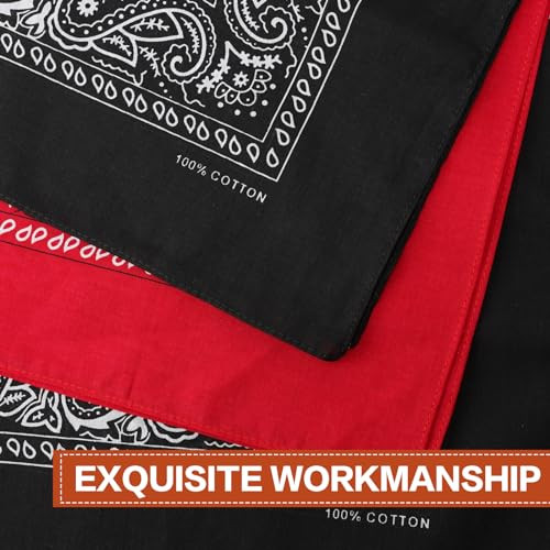 Raylarnia 100 Percent Cotton Bandanas 22 Paisley Bandana Headbands For Men Women
