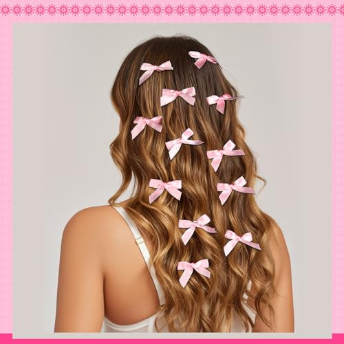 Ygdz Pink Mini Bows 20Pcs Ribbon Hair Clips Barrettes With Box Small Bow For Hair Cute Bowknot Hair Accessories For Women Girls