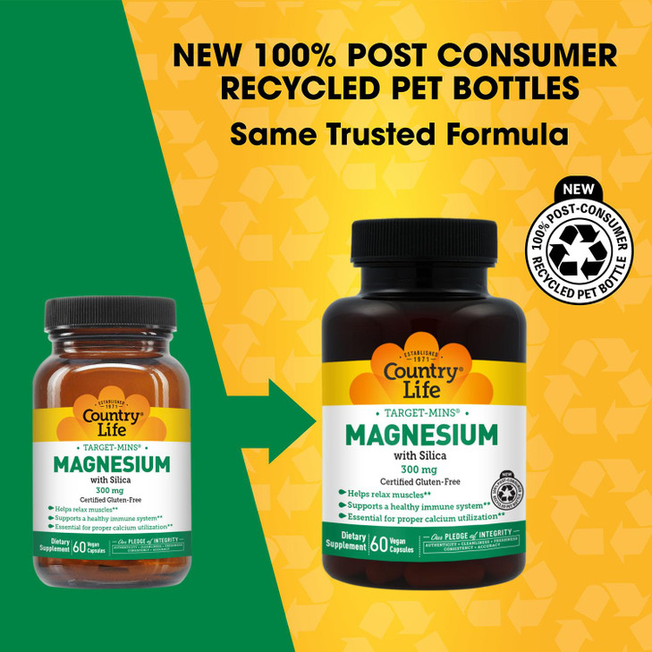 Target-Mins Magnesium with Silica 300mg, 60 Vegan Capsules, Certified Gluten Free, Certified Vegan