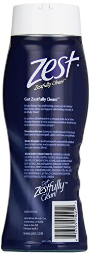 Zest Moisturizing Body Wash, Ocean Energy, 18 oz