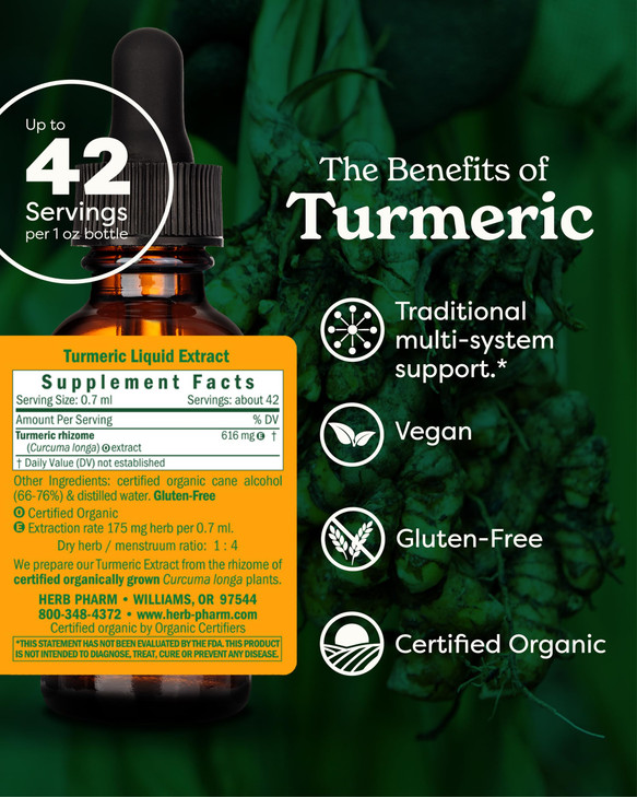 Herb Pharm Certified Organic Turmeric Root Extract for Musculoskeletal System Support - 1 Ounce (DTURM01)