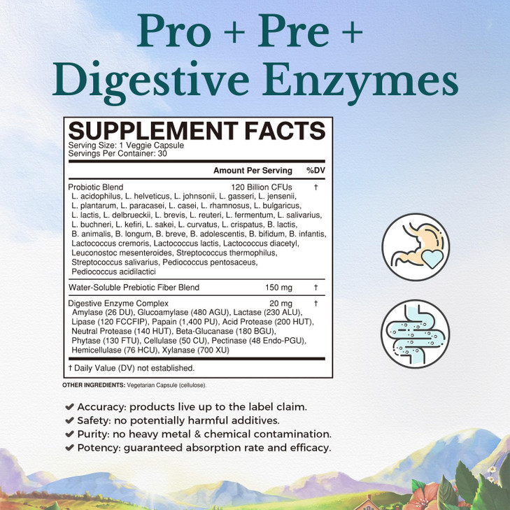 VITALITOWN Probiotics 120 Billion CFUs | 36 Strains, with Prebiotics & Digestive Enzymes for Men Women | Shelf Stable | Digestive Health & Immune Sup