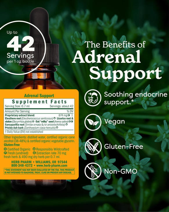 Herb Pharm Adrenal Support Liquid Herbal Formula with Eleuthero and Licorice Liquid Extracts - 1 Ounce