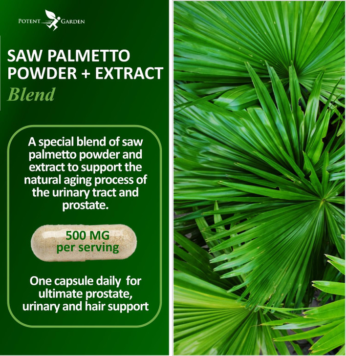 Potent Garden Saw Palmetto 500 mg - Prostate Supplements for Men - Supports Healthy Urination Frequency & Flow - Non GMO, 100 Saw Palmetto Capsules