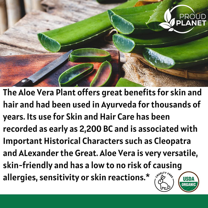 Organic Aloe Vera Powder for Hair & Face | Aloe Barbadensis | AloeVera Extract USDA Certified by Proud Planet (1 Pound | 16 Ounce)