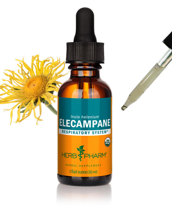 Herb Pharm Certified Organic Elecampane Liquid Extract for Respiratory System Support - 1 Ounce (DELECA01)