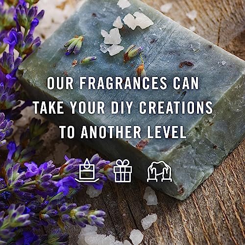 P&J Fragrance Oil Nature Set | Forest Pine, Ocean Breeze, Rain, Fresh Cut Grass, Sandalwood, and Bamboo Candle Scents for Candle Making, Freshie Scen