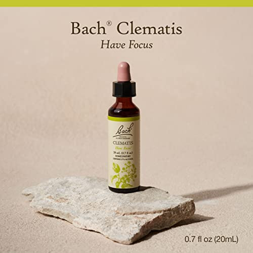 Bach Original Flower Remedies, Clematis - Have Focus - Natural Homeopathic Flower Essence for Emotional Balance - Vegan, Gluten Free, Sugar Free - 20