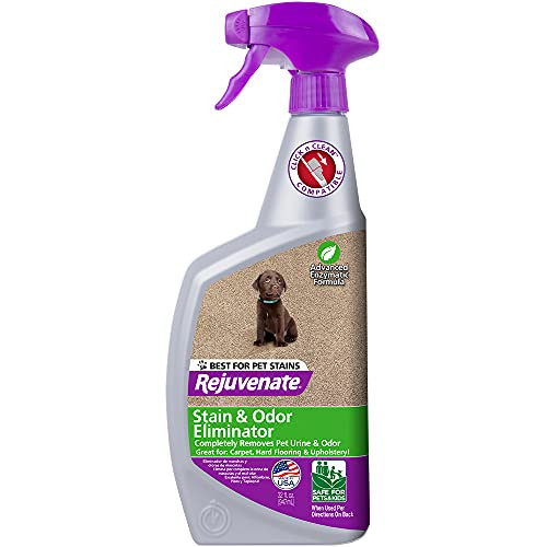 Rejuvenate Carpet Spot Cleaner, Upholstery Cleaner, Pet Stain Spot Remover, Pet Odor Eliminator, Bio-Enzymatic Formula