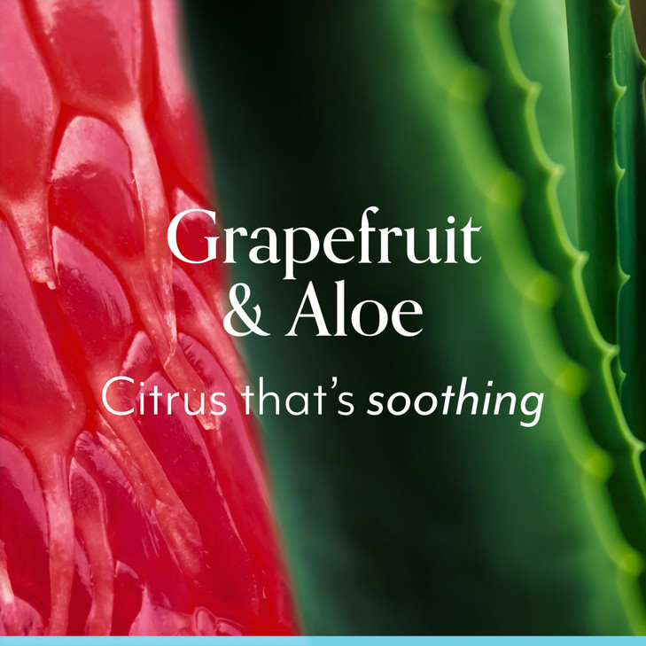 Bliss Body Butter - Grapefruit and Aloe - Maximum Moisture Cream - 6.7 Fl Oz - Body Lotion for Dry Skin - Long-Lasting Moisturizer for Women & Men -