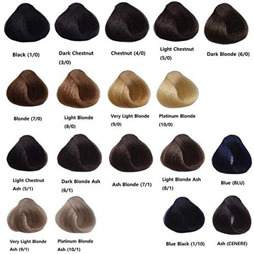 EVER EGO PERMANENT HAIR COLOR CREAM 10/1 PLATINUM BLONDE ASH 3.38 OZ