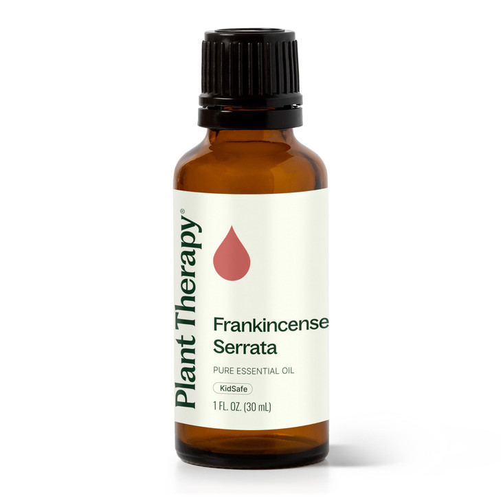 Plant Therapy Frankincense Serrata Essential Oil 100% Pure, Undiluted, Natural Aromatherapy, Therapeutic Grade 30 mL (1 oz)