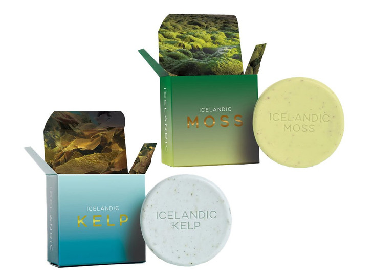 Exfoliating Bars of Soap From Natural Ingredients, Assorted Scents - Icelandic Kelp and Moss, Set of 2, 4.3 Ounce Each