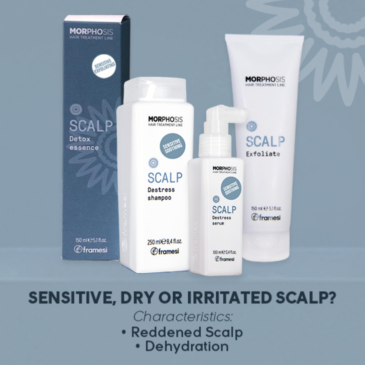 FRAMESI Morphosis Scalp Cleansing Shampoo 8.4 fl oz, Cleanses Hair and Scalp, Clarifying, Removes Buildup, Natural Ingredients, Color Safe