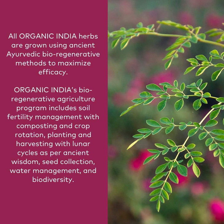 Organic India Triphala - Herbal Supplement with Amla, Bibhitaki, Haritaki, Digestion & Colon Support, Immune System Support, Adaptogen, Vegan, USDA C