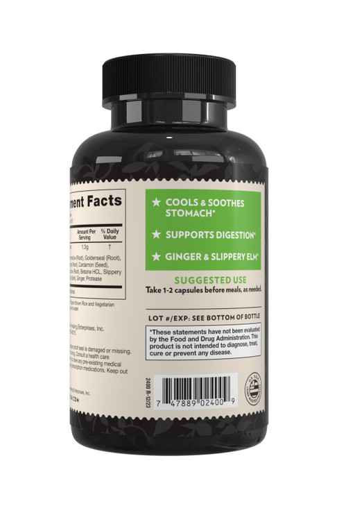 Crystal Star GI Support Supplement (60 Capsules)  Herbal Gut Health Supplement That soothes Occasional Heartburn and Supports Acid Reflux  Ginger,