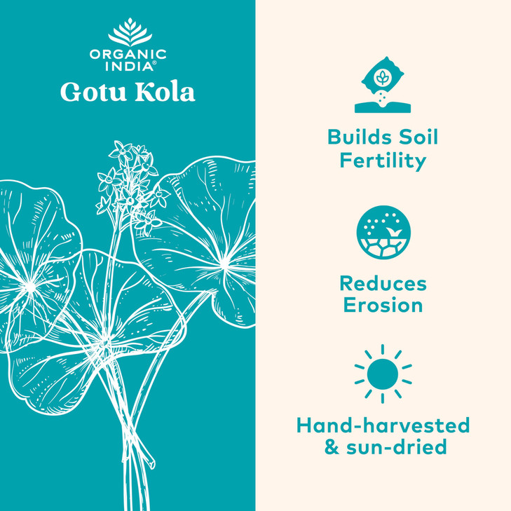 ORGANIC INDIA Gotu Kola Herbal Supplement - Adaptogen for Brain & Nervous System Support, Vegan, Gluten-Free, Kosher, USDA Certified Organic, Non-GMO