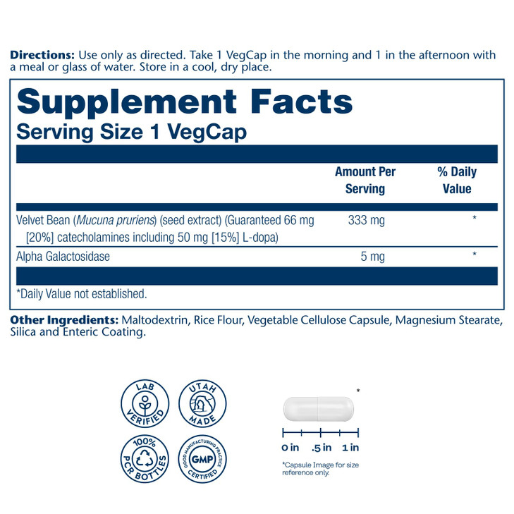 SOLARAY Dopabean 333mg - Mucuna Pruriens L-Dopa - Wellness Support Supplement - Velvet Beans Seed Extract with 15% L Dopa Plus Alpha Galactosidase -
