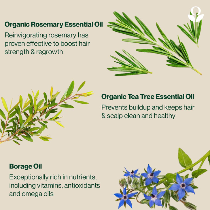 Balmonds Hair, Scalp & Beard Oil 1.7 Oz with Rosemary, Hemp & Tea Tree - Natural Conditioning Treatment for Dry, Itchy Scalps - Nourishes & Moisturiz