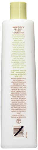 Trader Joe's Tea Tree Tingle Conditioner with Peppermint and Eucalyptus (2 Pack)