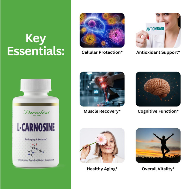 Paradise Herbs L-Carnosine, Super Potent, Ultra Pure, Antioxidant, Vegan, Non GMO, Gluten Free, 60 Vegetarian Capsules