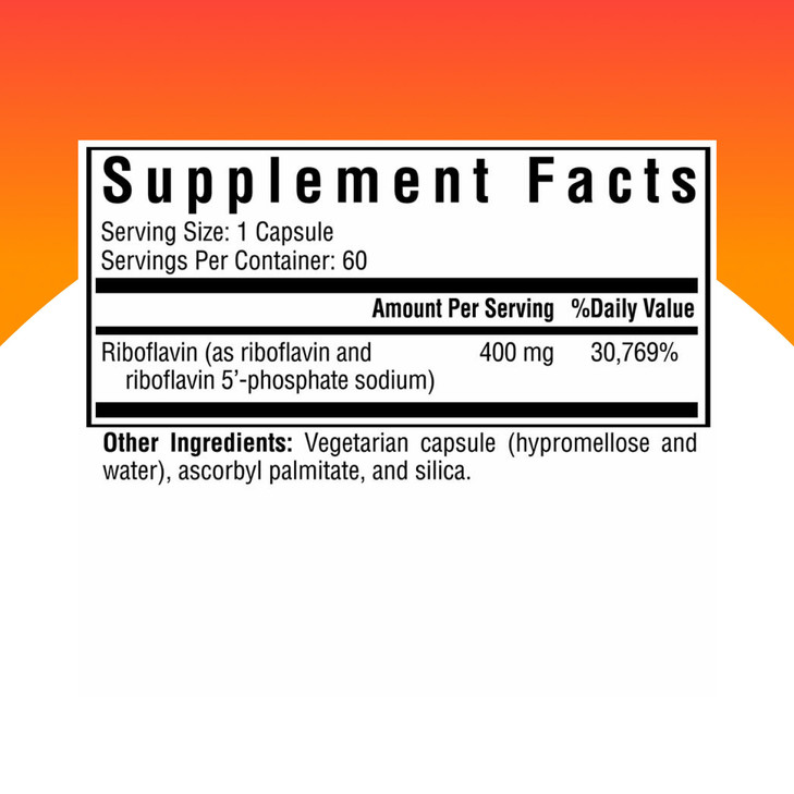 Seeking Health Riboflavin - Vitamin B2 Supplement for Methylation Support - Support Homocysteine Metabolism with Antioxidant Ingredients - 400 mg, 60