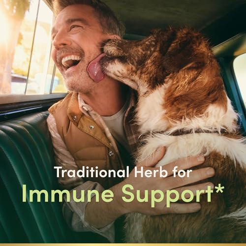 Nature's Bounty Sambucus Elderberry Herbal Supplement, Rapid Release Softgels, 630 mg per Serving, 120 Count