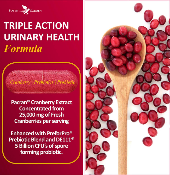 Potent Garden Urinary Support Womens Probiotic for Urinary Tract Health for Women, Cranberry Capsules with 5 Billion CFUs Cranberry Extract, Prebioti