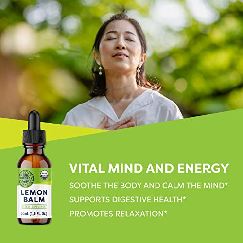 Vimergy USDA Organic Lemon Balm Tincture Herbal Supplement  Can be Used in Tea - Non-GMO, Alcohol-Free  30 mL (1 mL/Serving)