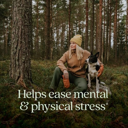 New Chapter Organic Ashwagandha Supplement, One Capsule a Day of Adaptogens for Stress Relief, Mood Support, & Energy, Vegan, 60 Count