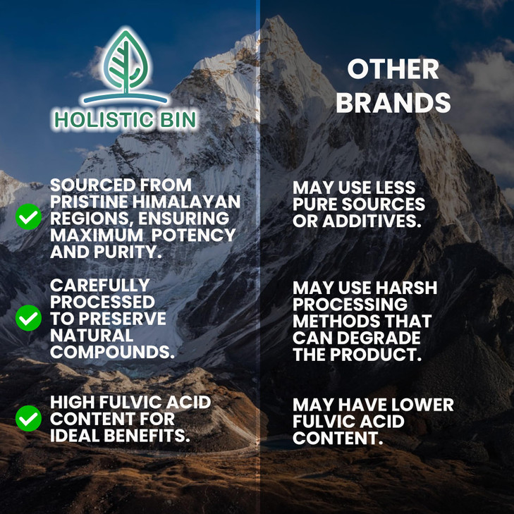 Holistic Bin Shilajit Resin - Himalayan Fulvic & Trace - Black Platinum Resin - Shilajit Extract - Mix Into Liquids - Serving Spoon Included - 10g