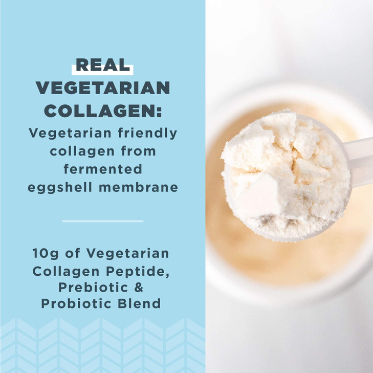 Ancient Nutrition Vegetarian Collagen Peptides, Collagen Peptides Powder, Collagen Powder with Natural Flavor, Prebiotics and Probiotics, Supports He