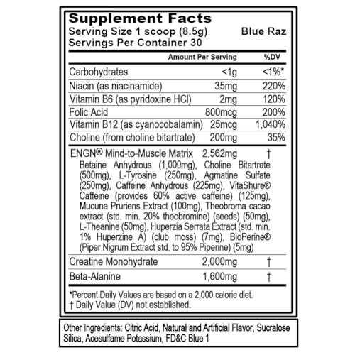 Evlution Nutrition ENGN Focus - Intense Pre-Workout with Creatine - Maximum Focus Formula - Pre-Workout Powder for Lasting Energy - with Beta-Alanine
