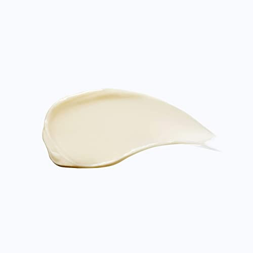 DEMAR3 SIGNATURE VIT ROISE CREAM, FACIAL MOISTURIZER, KOREAN SKIN CARE, GLOW SKIN CARE FOR FACE, PEPTIDE CREAM FOR FACE, CERAMIDE AND HYALURONIC ACID