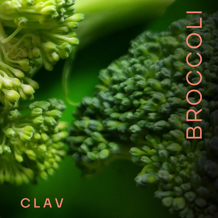CLAV Broccoli Sprout Extract Capsules - Premium Sulforaphane Supplement with 100mg Sulforaphane - Antioxidant - 60 Broccoli Pills - Made in Germany