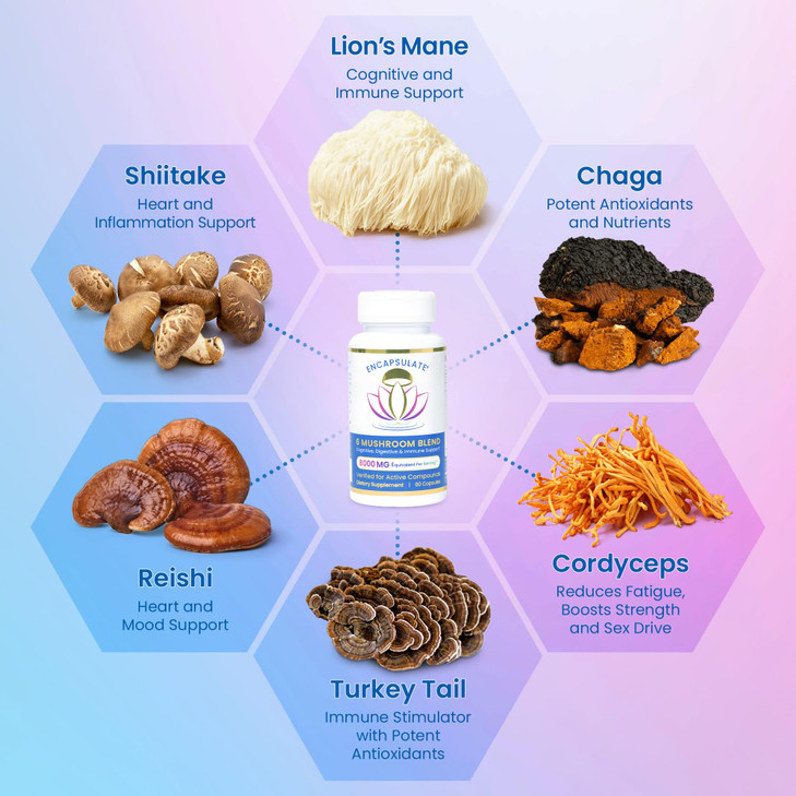 ENCAPSULATE 6 Mushroom Blend  Reishi, Chaga, Turkey Tail, Cordyceps, Lions Mane & Shiitake 8:1 Mushroom Extract  Nootropic & Adaptogen Mushroom Su