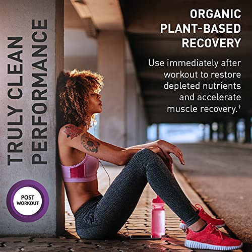 Garden of Life Sport Vegan Post Workout Muscle Recovery Powder for Men & Women - BlackBerry Lemonade 30 Servings, Organic Plant Based Recovery, 100mg
