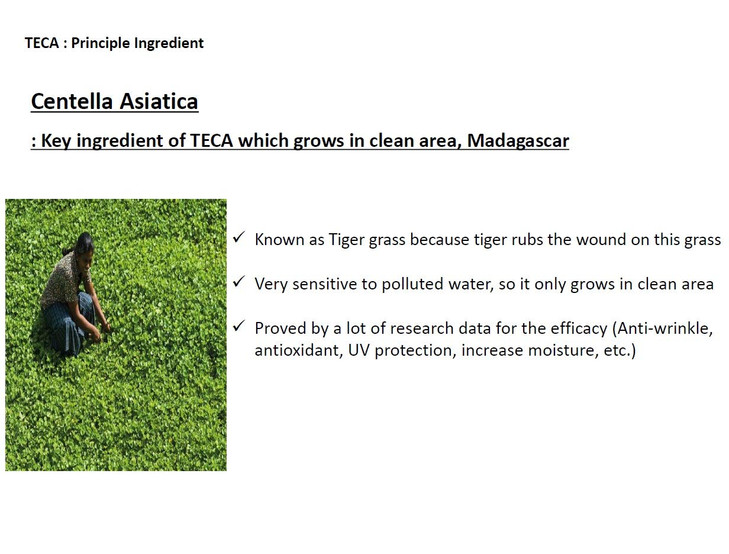 DONGKOOK CENTELLIAN 24 Micro Serum 50ml/1.69fl oz with TECA Tech. K-beauty#