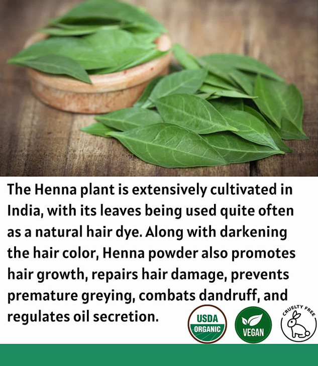 Organic Henna Powder For Hair Dye (2 Pounds | 907g) | Lawsonia Inermis | Mehndi Powder | Natural & Raw | USDA Certified by Proud Planet