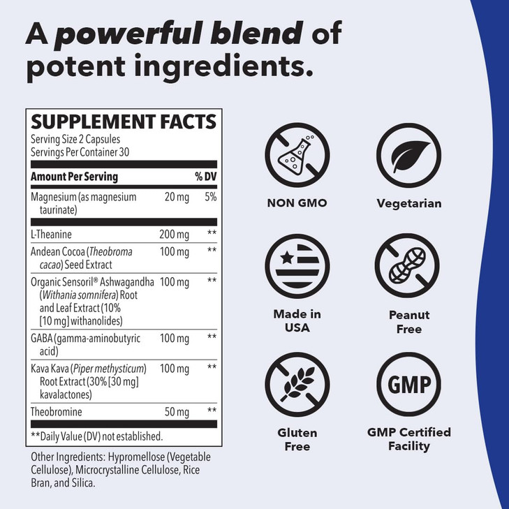 LifeSeasons Anxie-T - Stress Relief Supplement - Supports Mood & Mental Focus - Feel Calm and Relaxed - Eases Tension & Nervousness - Ashwagandha, Ka