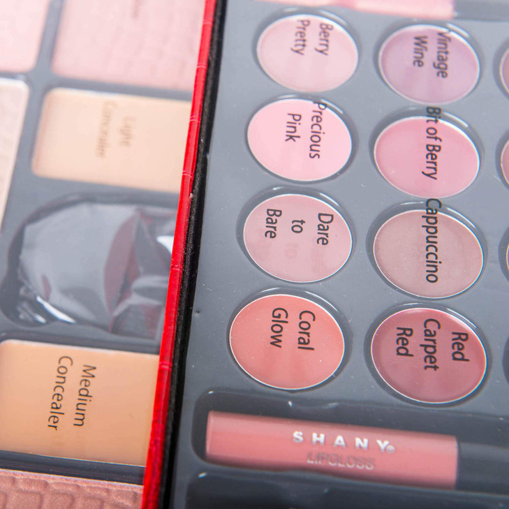 SHANY All In One Makeup Set, 67 Colors Eyeshadow, Blushes, Face Powder, Lipstick, Eye liners, Make up Pencils and Cosmetics Mirror - Makeup Kit With