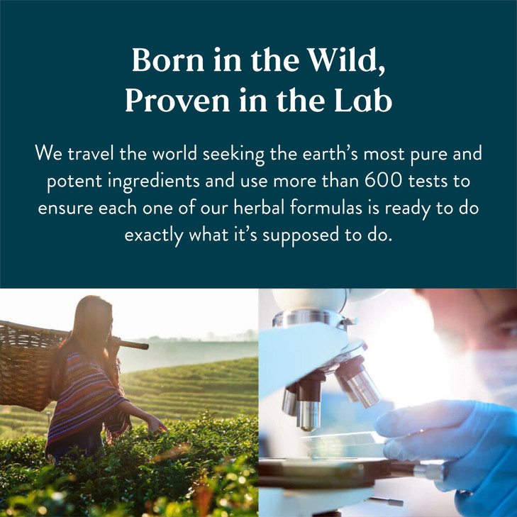 Nature's Sunshine Hi-Lipase - Naturally Supports The Digestive System and aids in The Digestion of Food (100 Capsules)